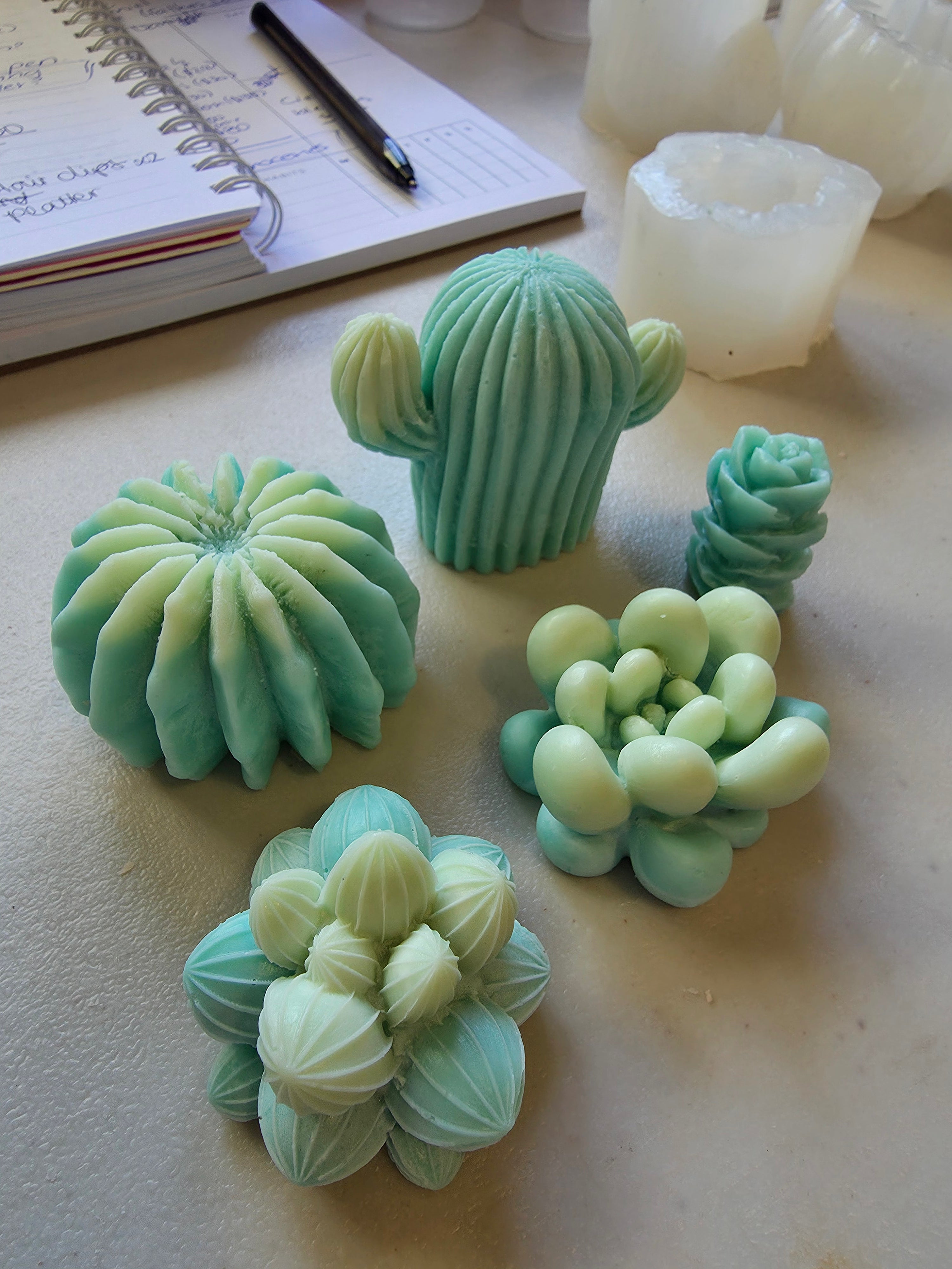 Succulents Wax Melts