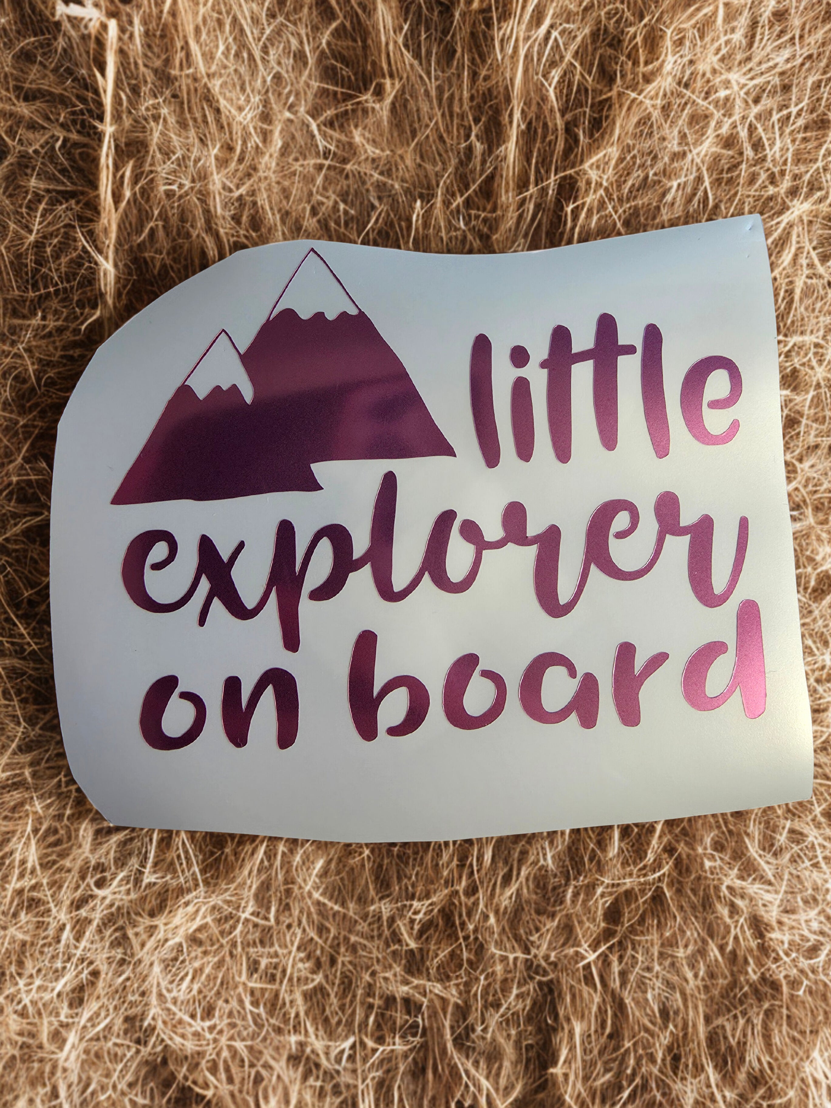 Little Explorer Car Decal