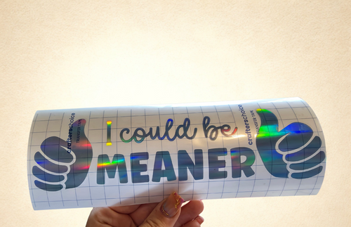 'I could be meaner' - Vehicle Sticker